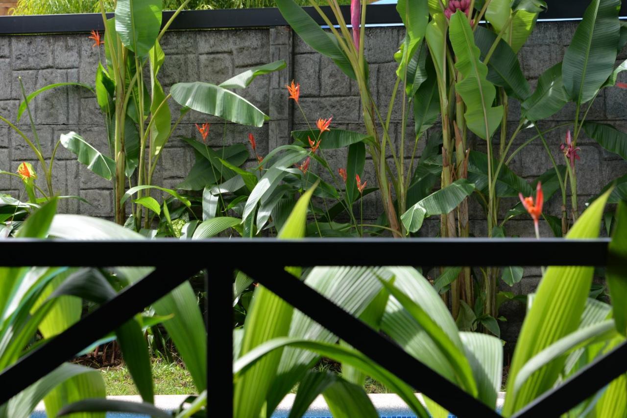 Vila Casa Kamagu La Fortuna Exteriér fotografie