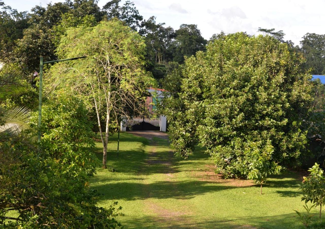 Vila Casa Kamagu La Fortuna Exteriér fotografie